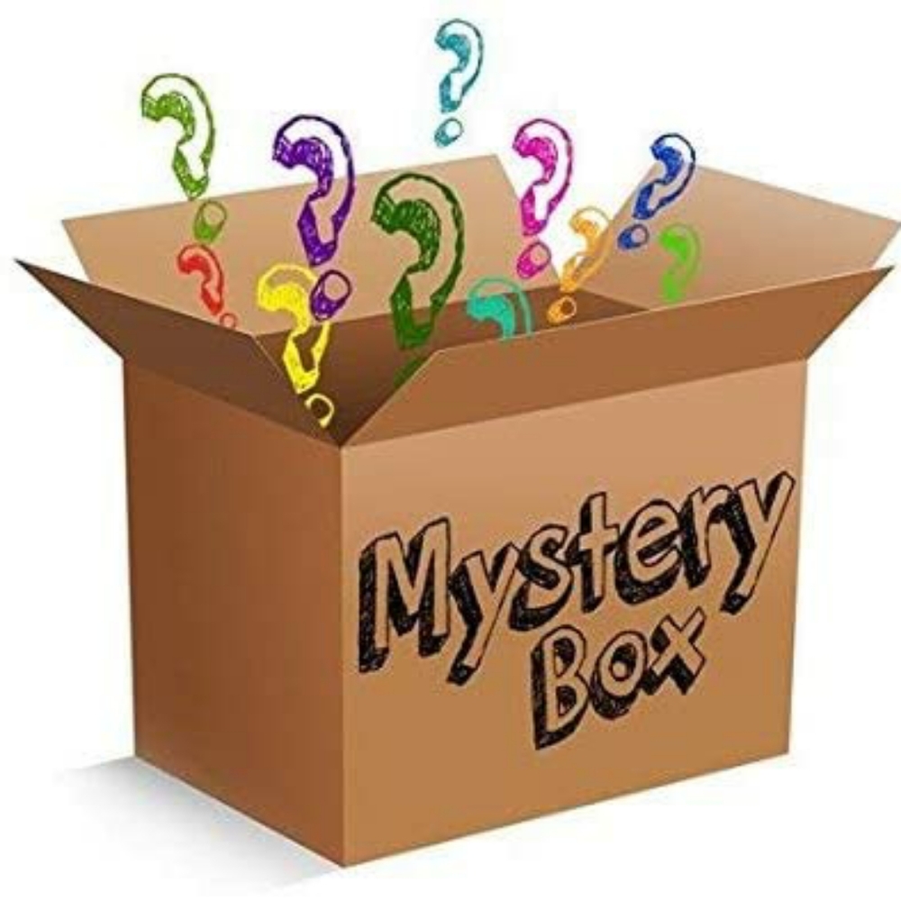 Plus size resellers mystery box!